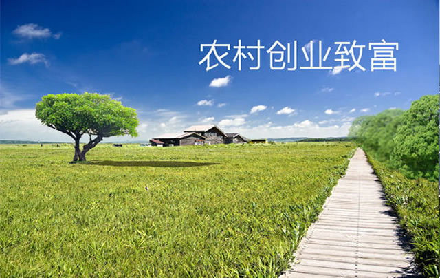 農業項目創業孵化